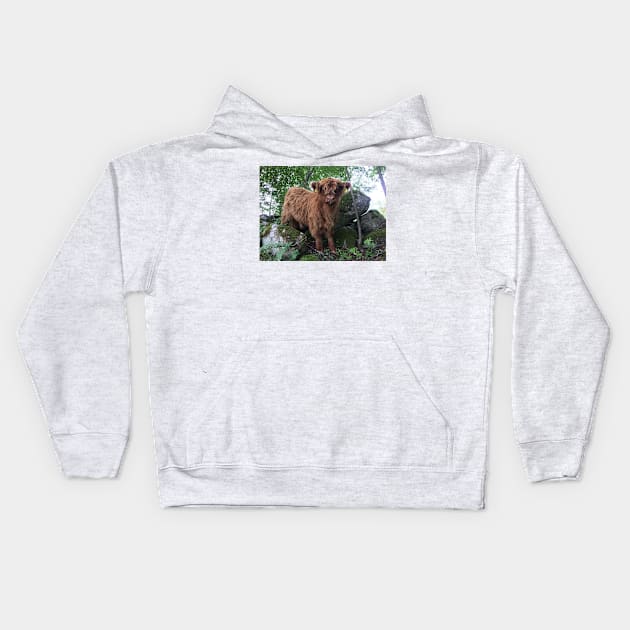 Scottish Highland Cattle Calf 1508 Kids Hoodie by SaarelaHighland